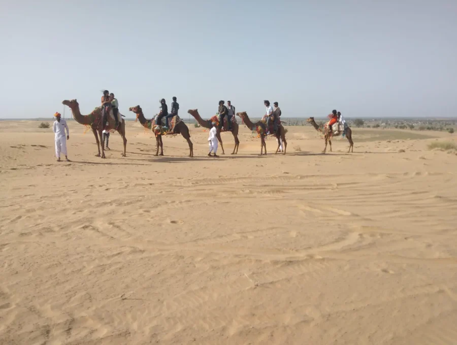 Camel safari caravan walking across open sand dunes in Osian, Rajasthan