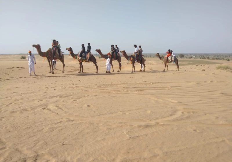 Camel Safari