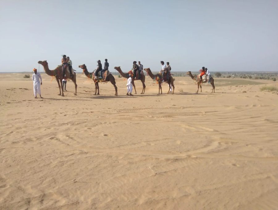 Camel safari caravan riding across open sand dunes during sunset in Osian