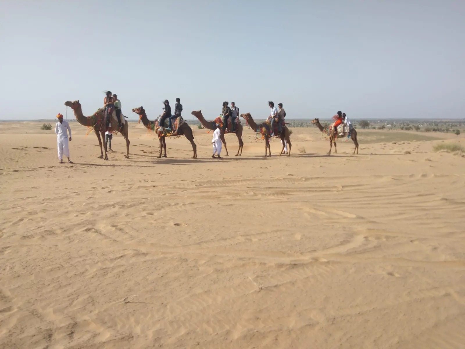 Camel Safari